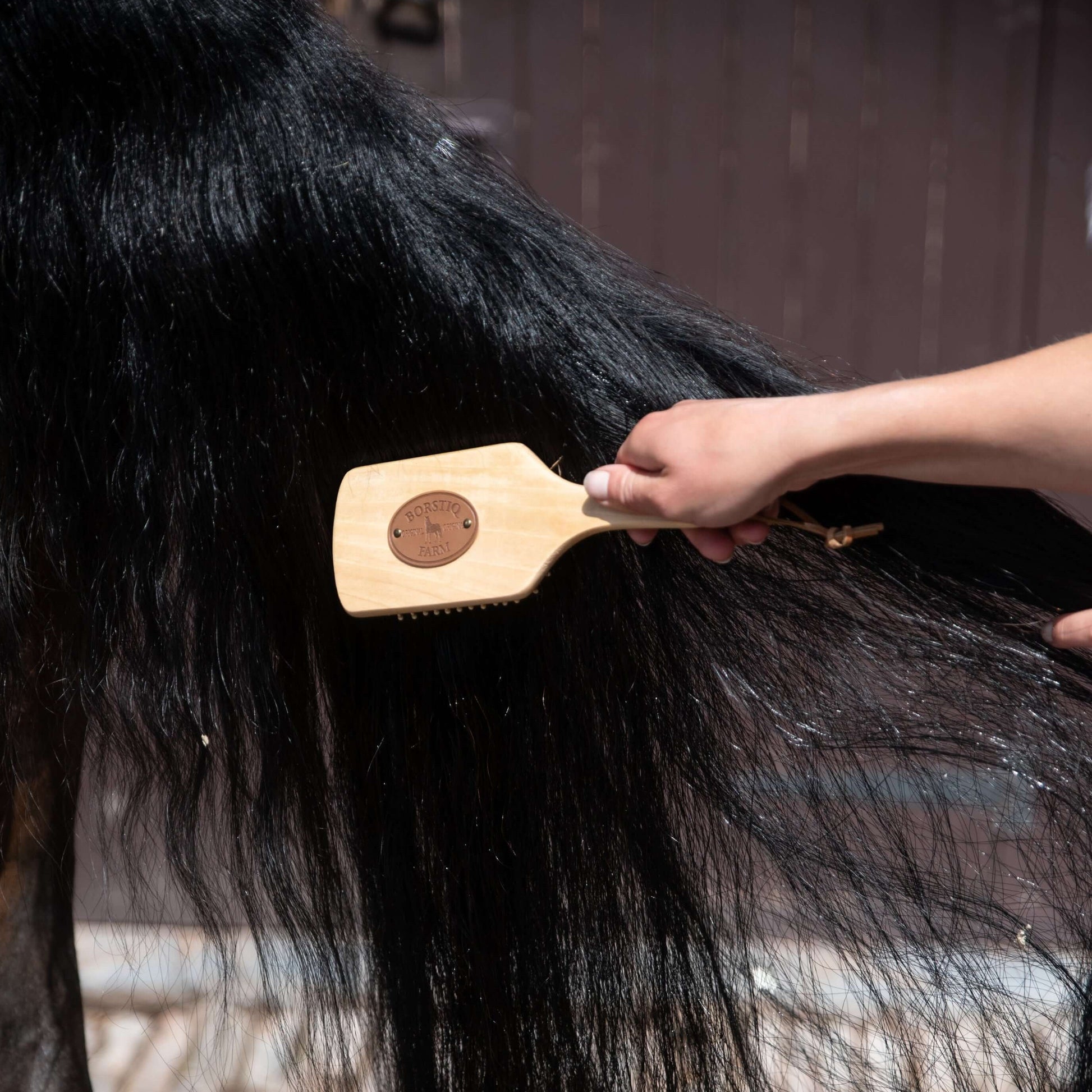 Borstiq Mane and Tail Brushes