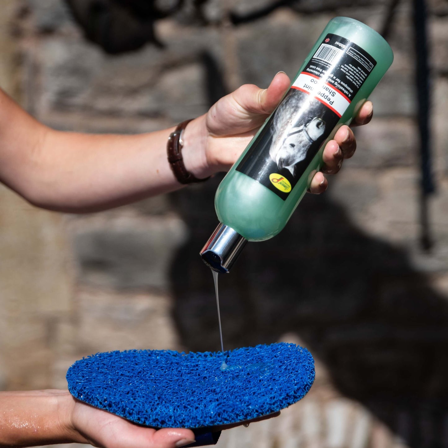 Super Groomer - Deluxe Edition