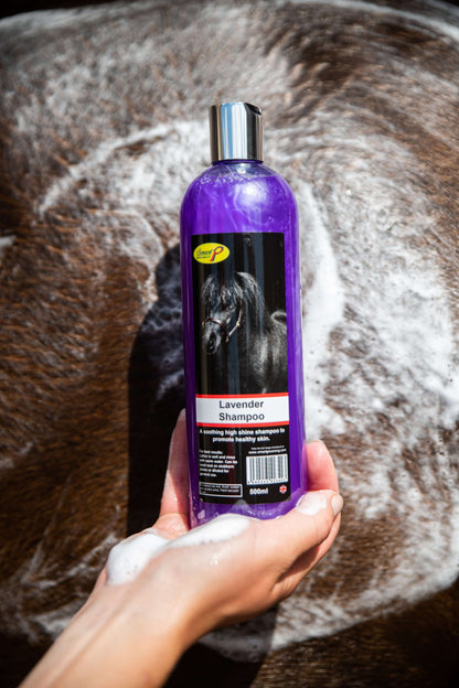 Lavender Shampoo