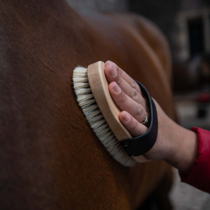 Traditional Body Brush