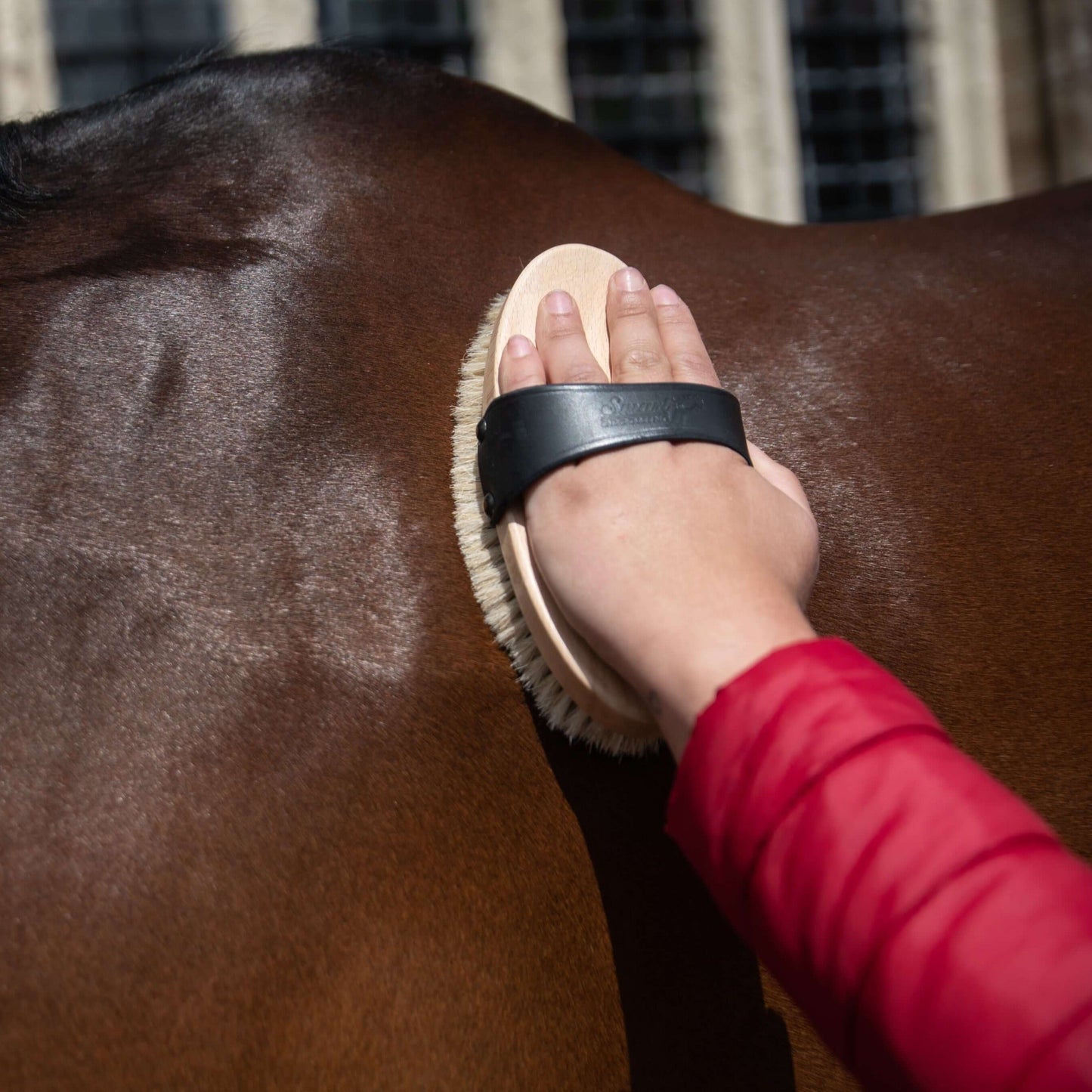 Traditional Body Brush
