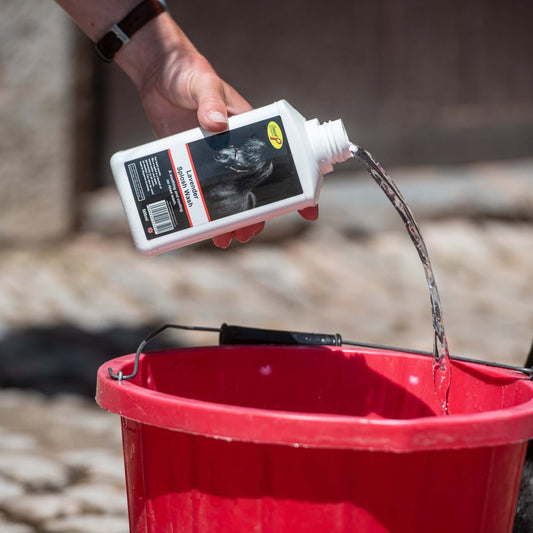 Lavender Splosh Wash