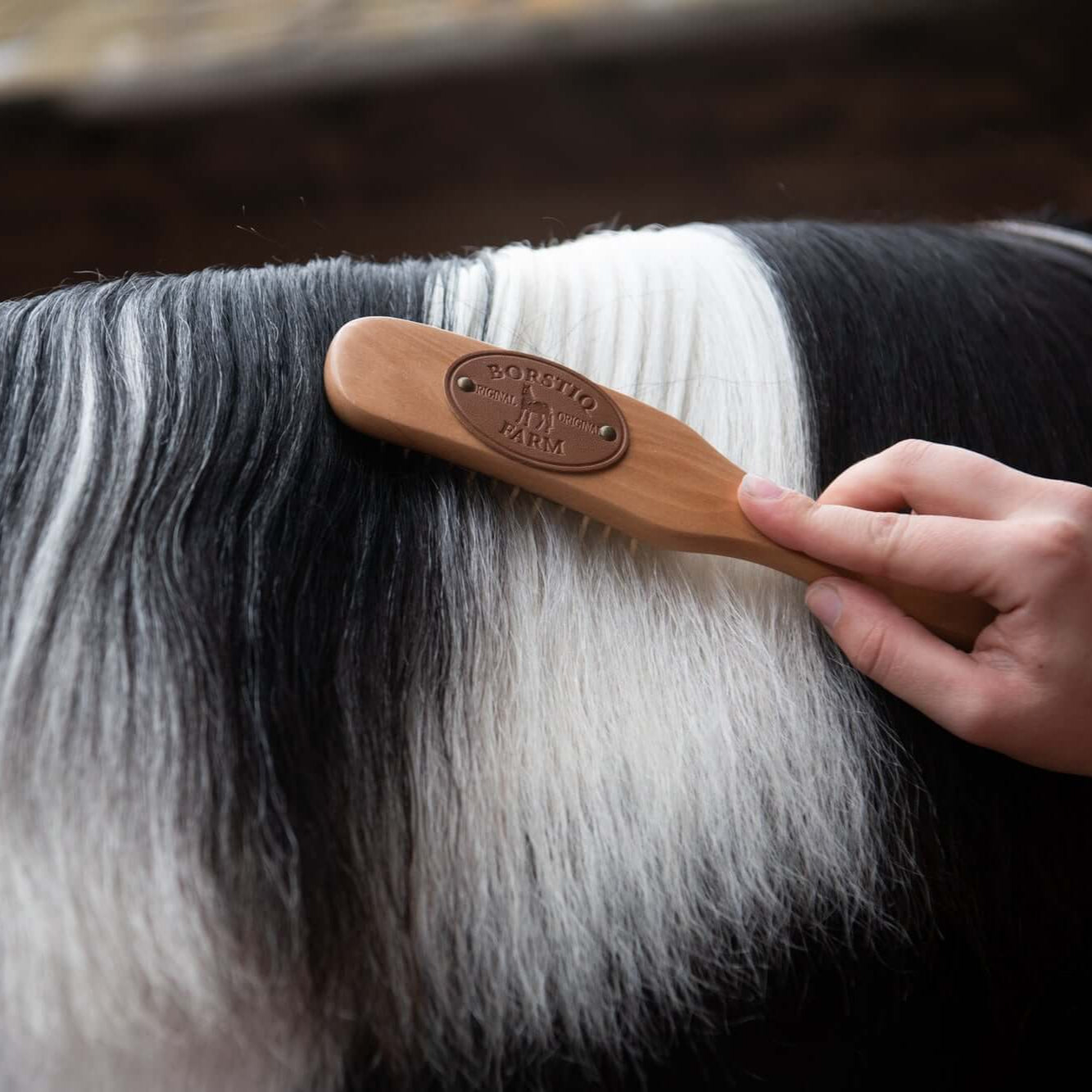 Borstiq Mane and Tail Brushes