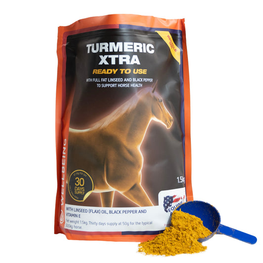Turmeric Xtra