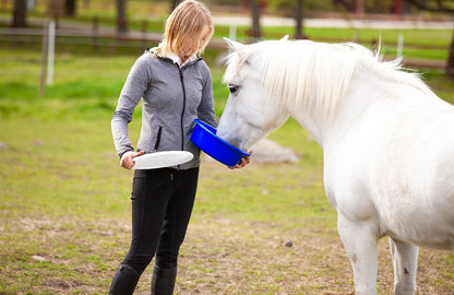 Lid for 6L Feed Bowl Transparent - PRE ORDER NOW!