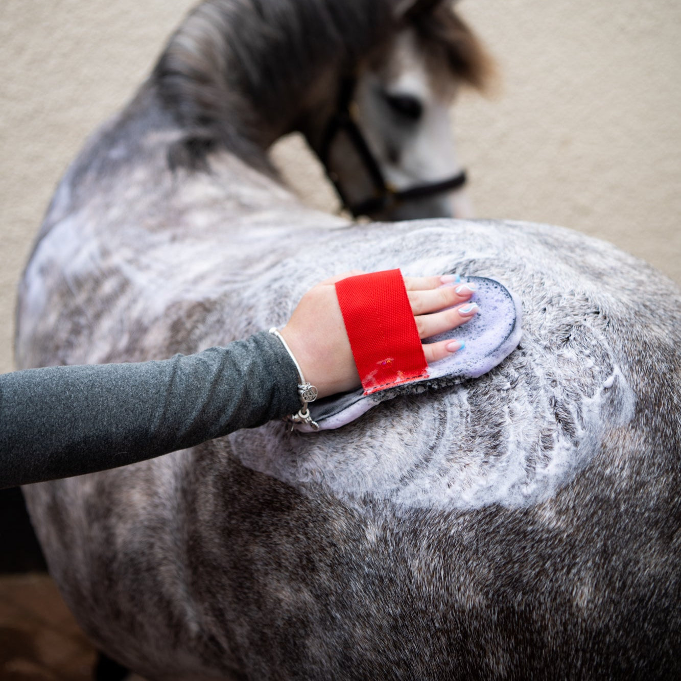 Super Groomer - Deluxe Edition