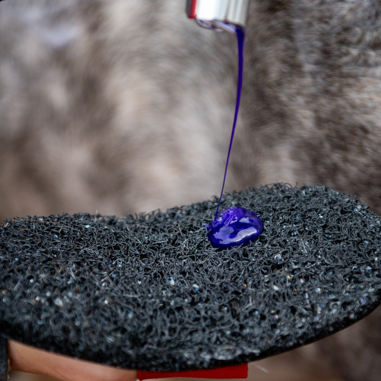 Super Groomer - Deluxe Edition